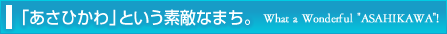 「あさひかわ」という素敵なまち。