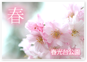 春 春光台公園