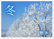 冬 樹氷